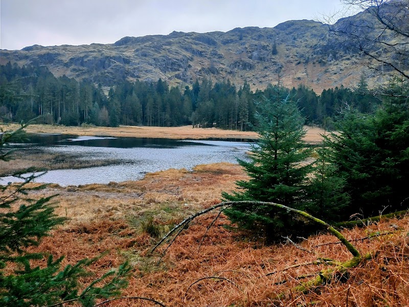 Discover the Tranquil Beauty of Ullscarf, Lake District - Ullscarf