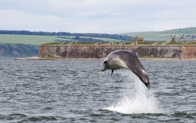 Coastal Charm at Chanonry Point outdoor detail