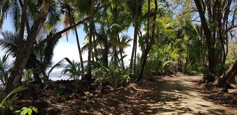 Tropical Oasis: Punta Banco, Costa Rica - Punta Banco