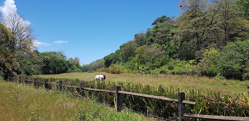Tropical Oasis: Punta Banco, Costa Rica - Punta Banco