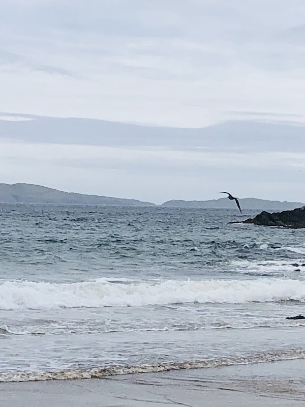 Scenic Serene: West Sandwick Beach - West Sandwick Beach