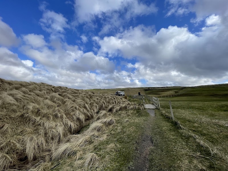 Scenic Serene: West Sandwick Beach - West Sandwick Beach
