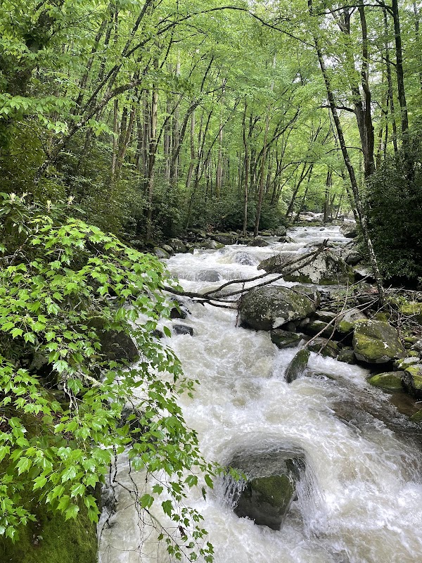 Cascading Beauty: Mouse Creek Falls - Mouse Creek Falls