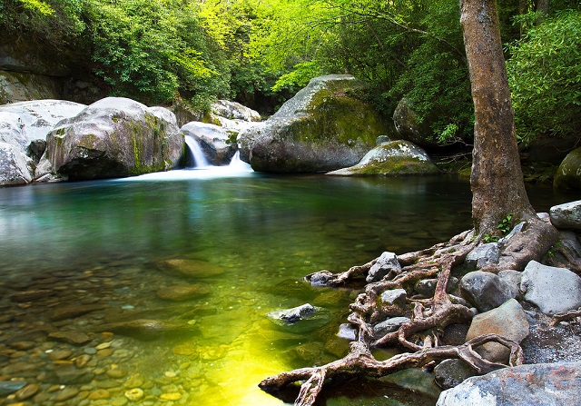 Cascading Beauty: Mouse Creek Falls - Mouse Creek Falls