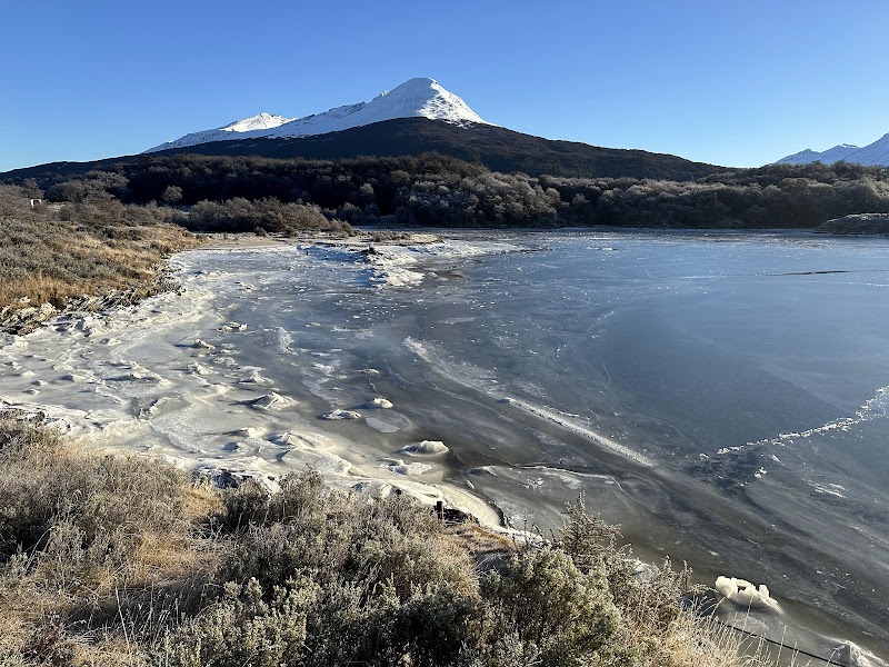 Discover the Wild Beauty of Parque Nacional Tierra del Fuego - Parque Nacional Tierra del Fuego