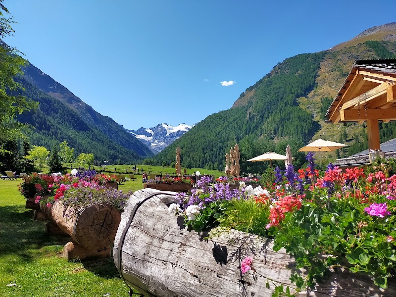 Winter Wonderland in the Aosta Valley - Aosta Valley