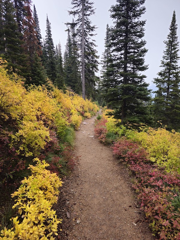 Iceberg Lake: A Glacial Gem in Montana outdoor detail
