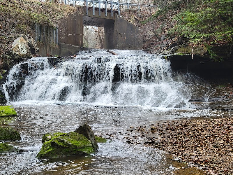 Waterfall Wonders at Big Lily Creek - Big Lily Creek waterfalls