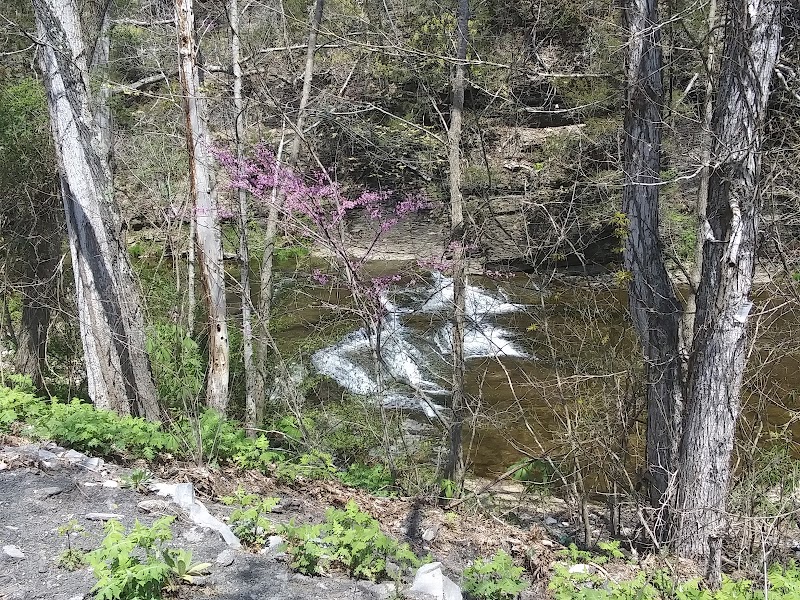 Waterfall Wonders at Big Lily Creek - Big Lily Creek waterfalls