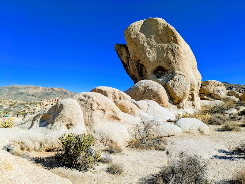 The Enchanting Desert of Joshua Tree National Park surrounding landscape