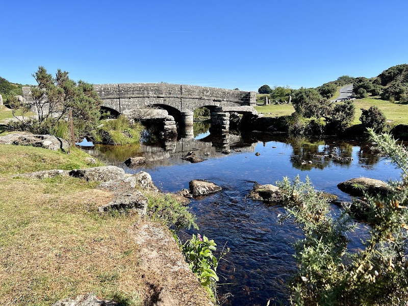 Majestic Landscapes: Dartmoor National Park outdoor detail