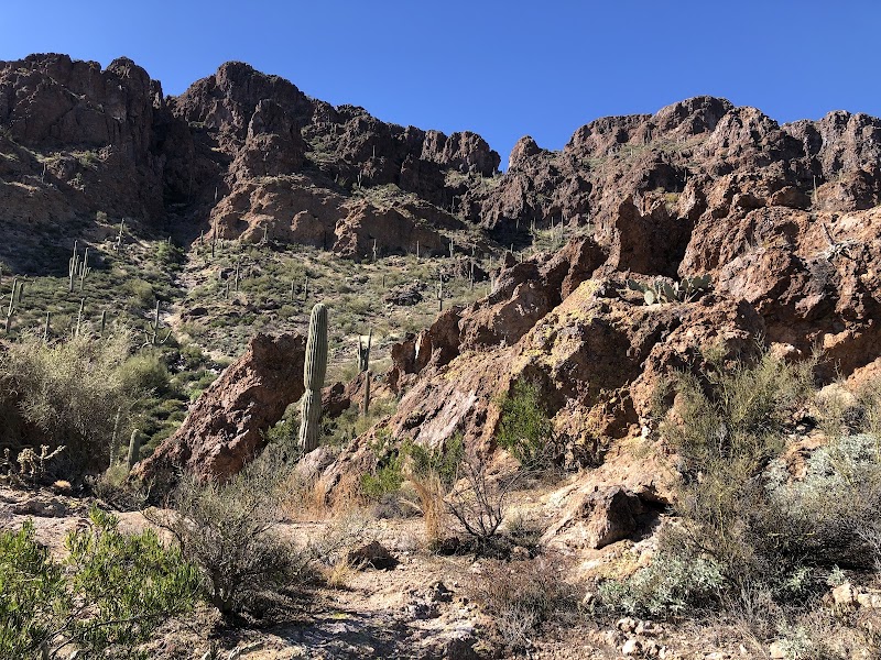 Rock Formations & Elephant Arch - Elephant Arch