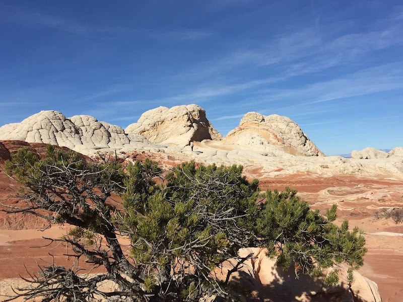 Rock Formations of White Pocket, Arizona - White Pocket