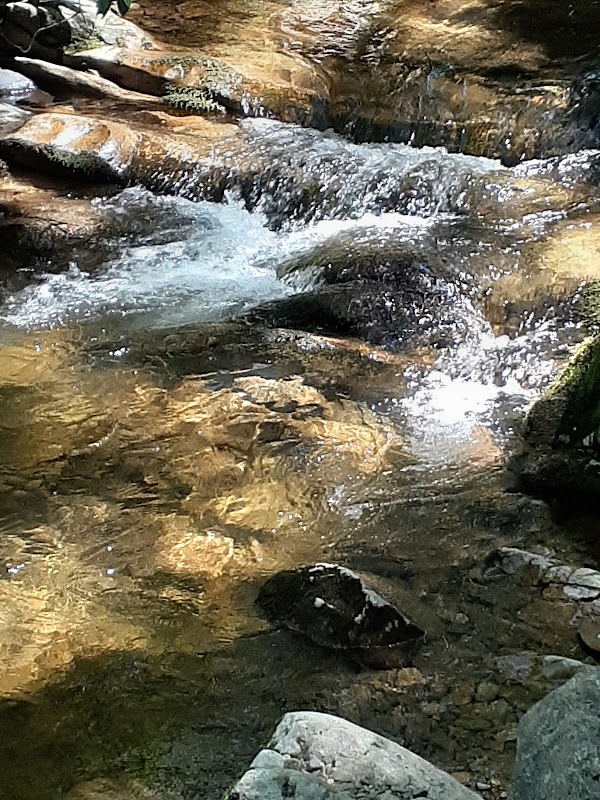 Nature's Tranquil Escape: Sampson Mountain Wilderness outdoor detail