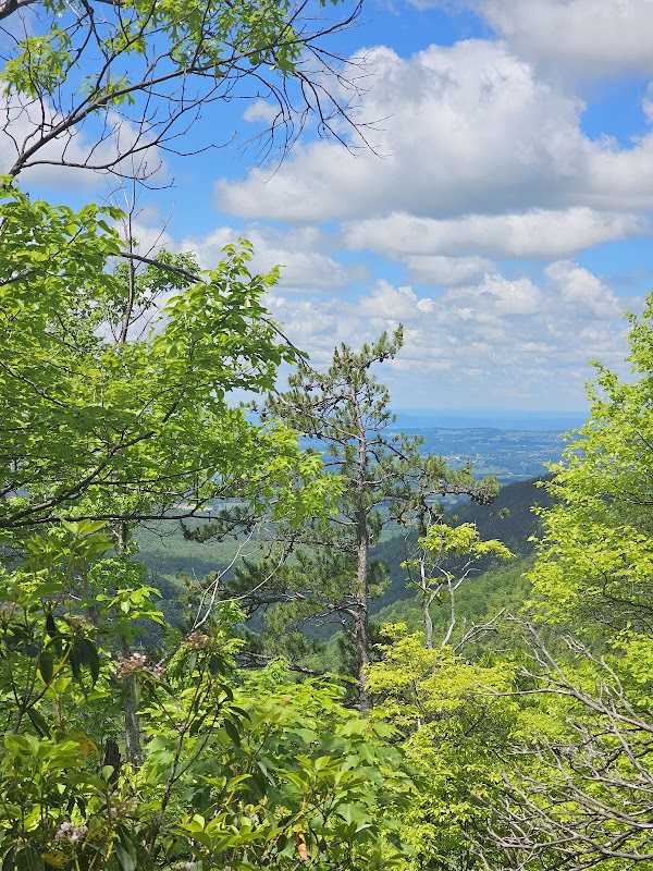 Nature's Tranquil Escape: Sampson Mountain Wilderness - Sampson Mountain Wilderness Trailhead