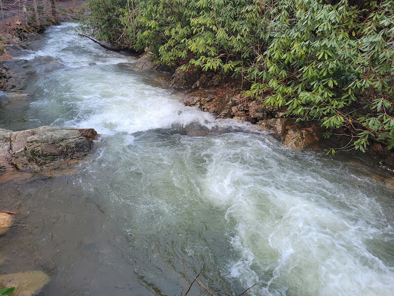 Sampson Mountain Wilderness Area, Cherokee National Forest adventures