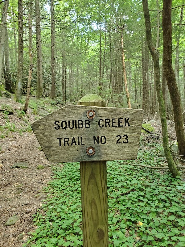 Nature's Tranquil Escape: Sampson Mountain Wilderness surrounding landscape