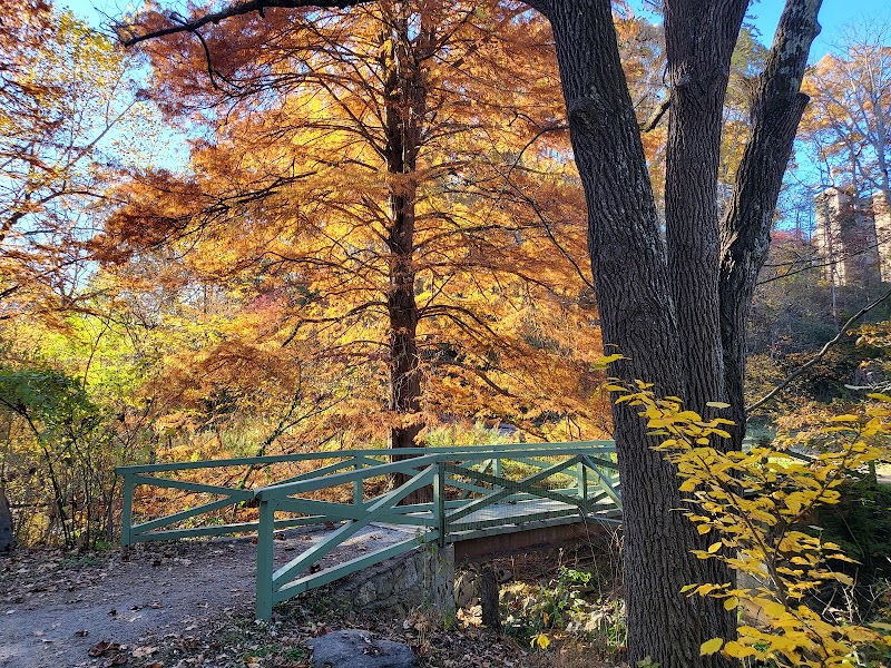 Asheville Botanical Garden adventures