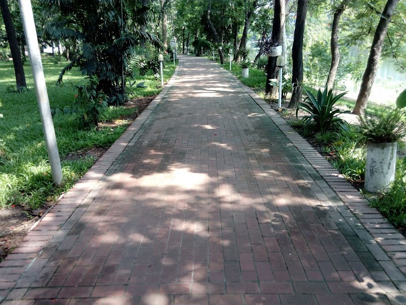Lush Tranquility in Baridhara Park, Dhaka - Baridhara Park