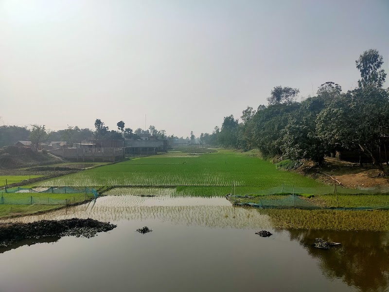 Enchanting Waters of Bongshai: A Riverside Retreat - Bongshai