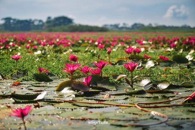 Ashulia, Dhaka Division adventures
