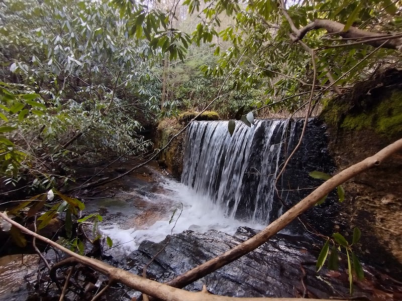 Discover the Wonders of Piney Knob Trail System - Piney Knob Trail System