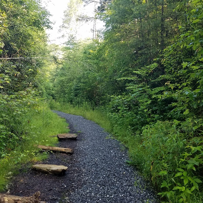 Discover the Wonders of Piney Knob Trail System - Piney Knob Trail System