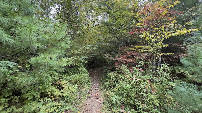 Discover the Wonders of Piney Knob Trail System - Piney Knob Trail System