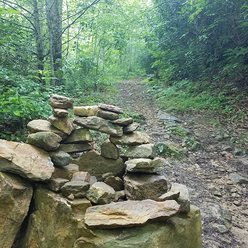 Discover the Wonders of Piney Knob Trail System outdoor detail