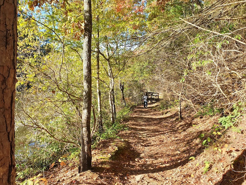 Cherokee Lake Recreation Area: Nature's Retreat in Murphy, NC outdoor detail
