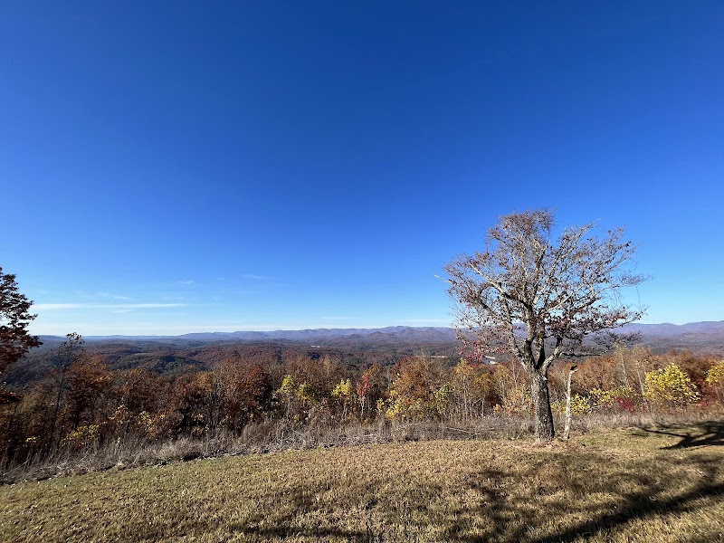 Nature's Splendor at Panther Top Lookout, Tusquitee Ranger District surrounding landscape