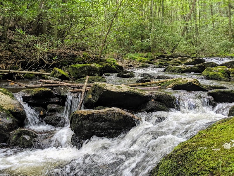 Nature's Tranquil Masterpiece: Rufus Morgan Trail and Falls - Rufus Morgan Trail and Falls