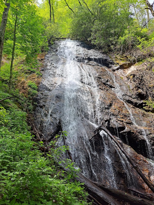 Nature's Tranquil Masterpiece: Rufus Morgan Trail and Falls - Rufus Morgan Trail and Falls