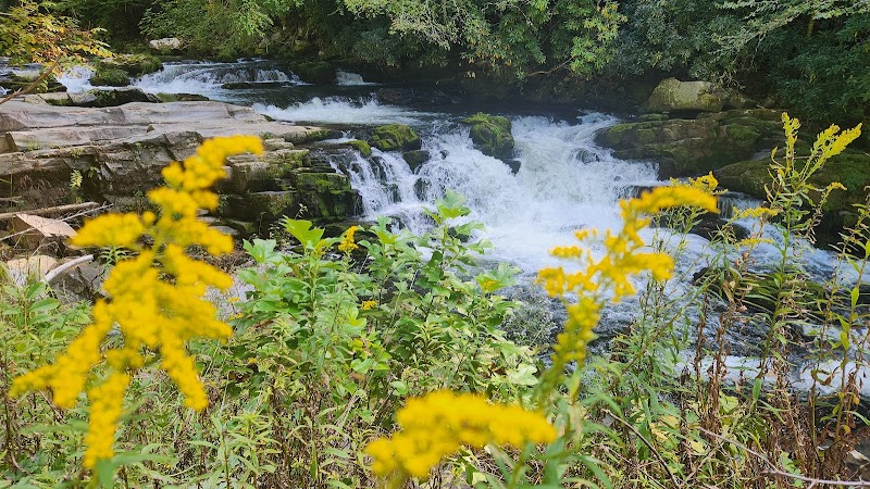 Nantahala Cascades Waterfall & Kayak Put In: A Nature Lover's Paradise surrounding landscape