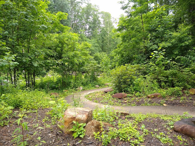 Wishon's Fishing Hole: A Tranquil Retreat in Nature surrounding landscape