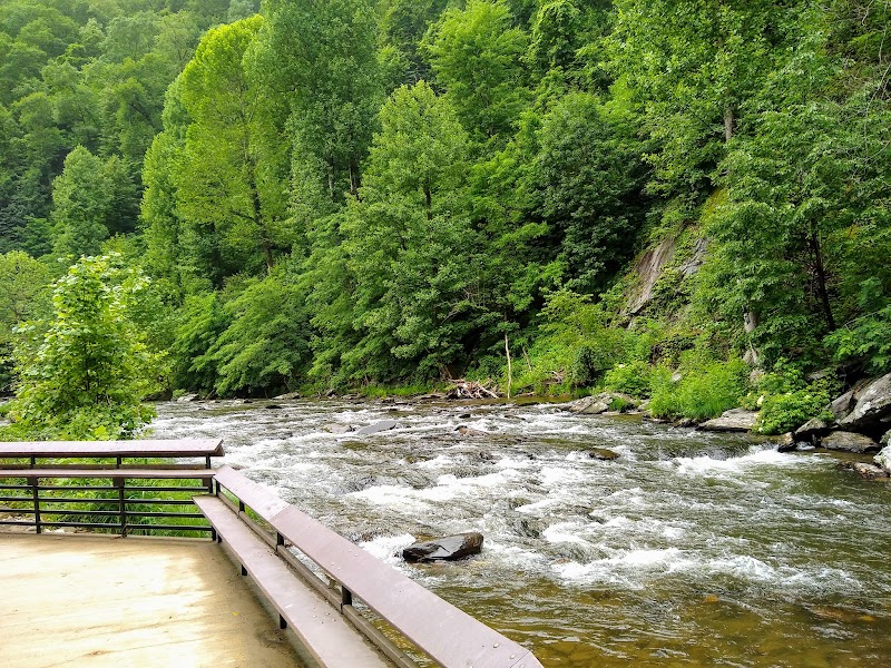 Wishon's Fishing Hole: A Tranquil Retreat in Nature - Wishon's Fishing Hole