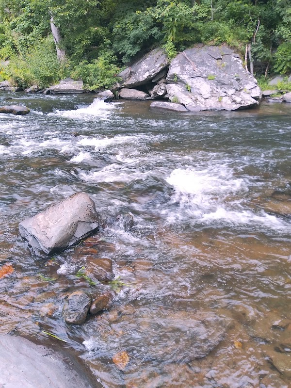 Wishon's Fishing Hole: A Tranquil Retreat in Nature - Wishon's Fishing Hole