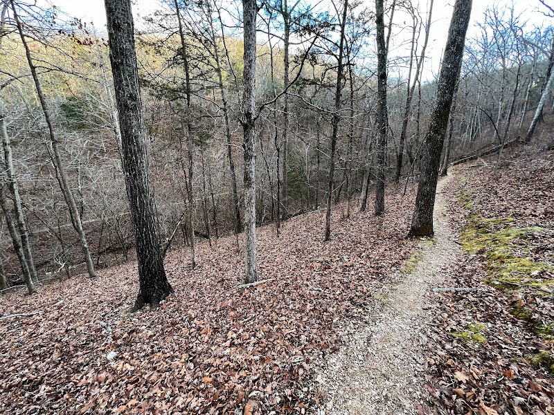 Riverside Wonder: River View Trailhead - River View Trailhead