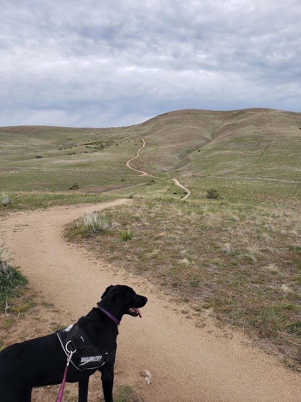 Hiking Bliss on Shane's Trail in Boise, ID surrounding landscape