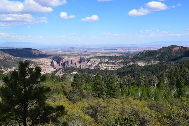 Bears Ears: Red Rock Wonders in Utah - Bears Ears