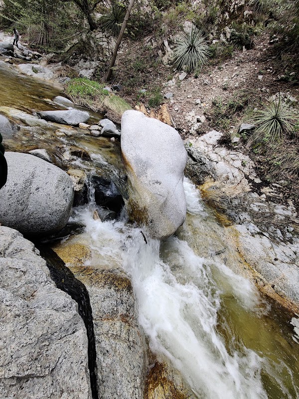 A Journey Through Switzer Falls surrounding landscape