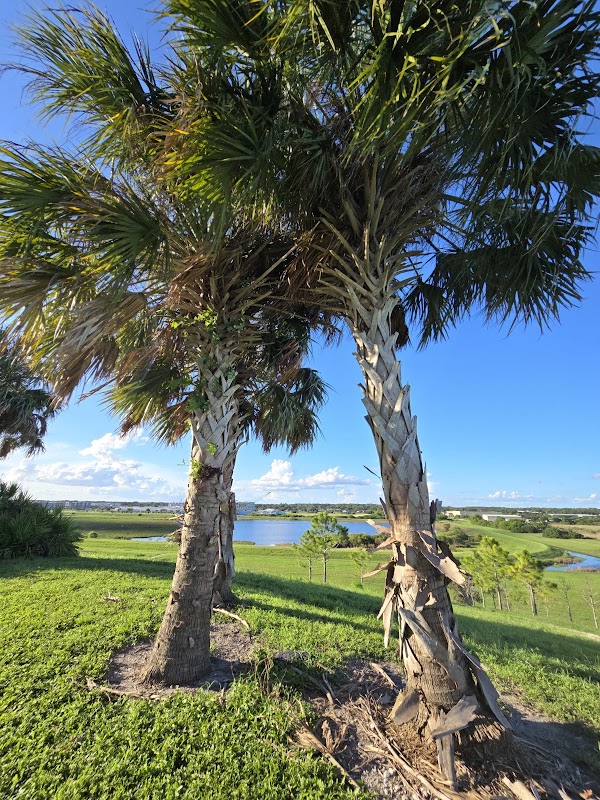 Nature's Oasis at Celery Fields outdoor detail