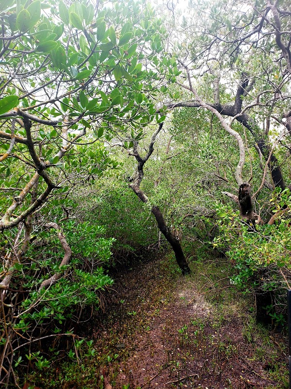 Nature's Pathway at Leffis Key Preserve outdoor detail