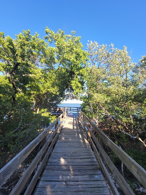 Nature's Pathway at Leffis Key Preserve - Leffis Key Preserve