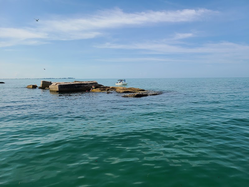 Coastal Ruins of Battery Burchsted - Battery Burchsted