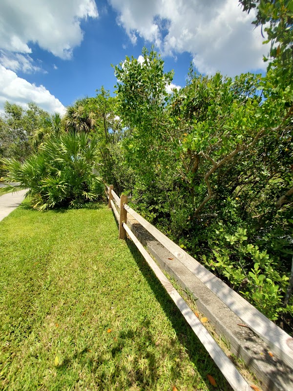 Nature's Tranquility: Town Square Nature Park - Town Square Nature Park