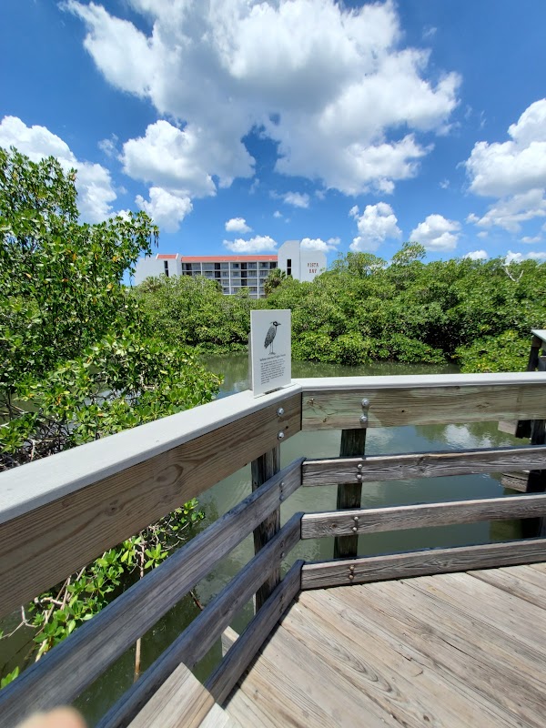 Nature's Tranquility: Town Square Nature Park surrounding landscape