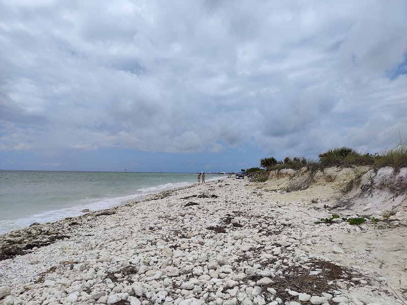 Sunlit Shores of Honeymoon Island State Park outdoor detail