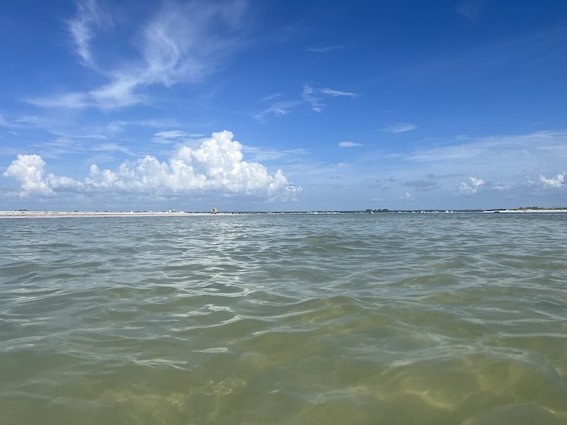 Sun-Kissed Shores of Honeymoon Island outdoor detail