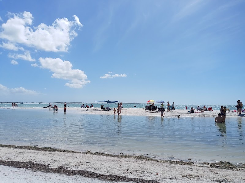 Sun-Kissed Shores of Honeymoon Island - Honeymoon Island State Park Pet Beach